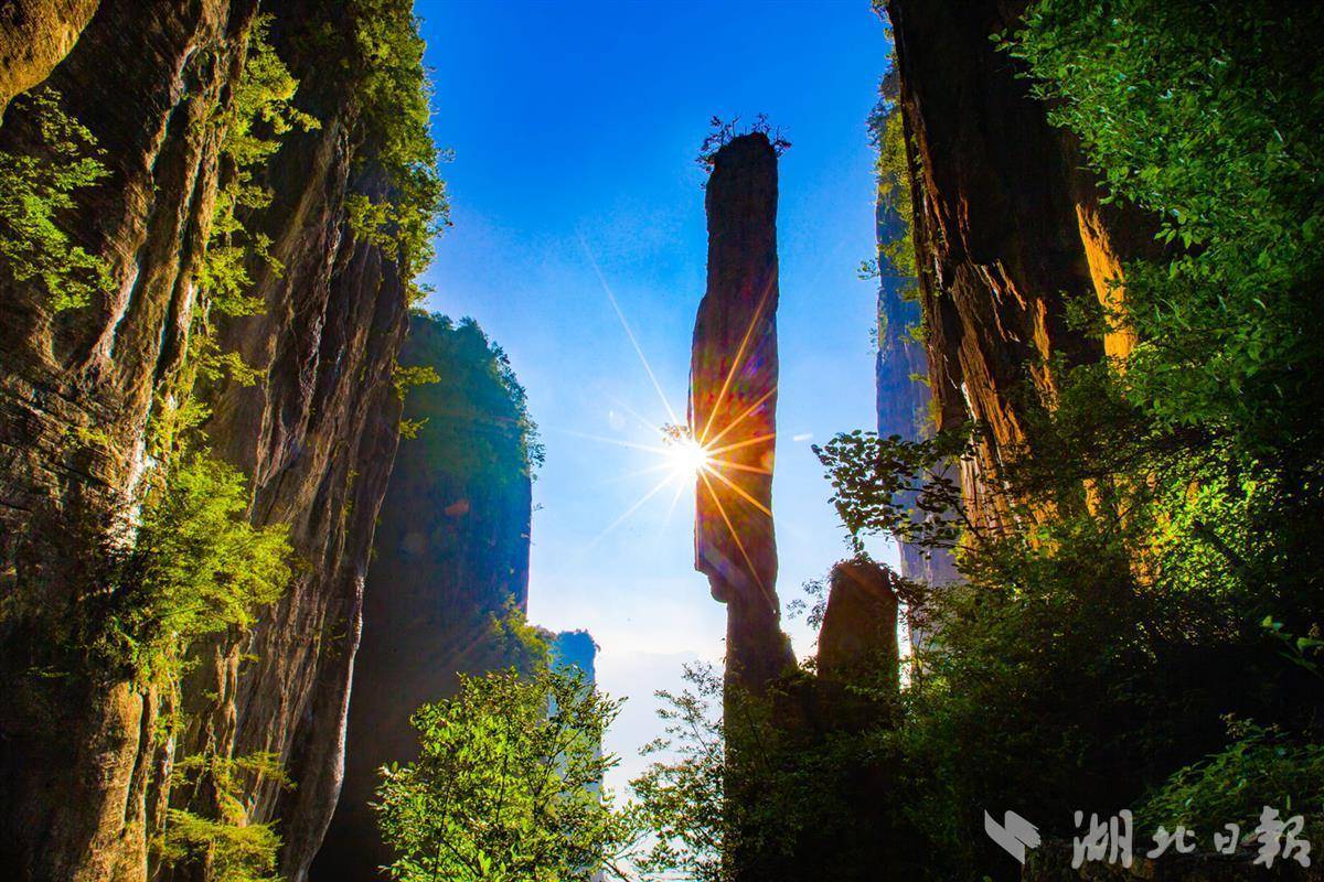 澳门手机版下载